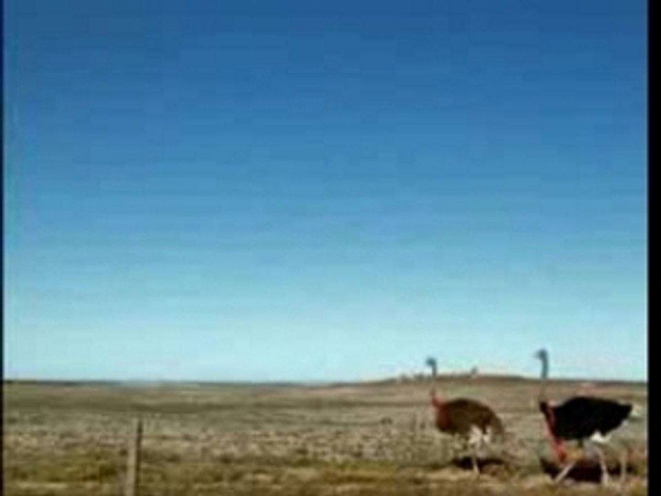 Turntablerocker - a little Funk