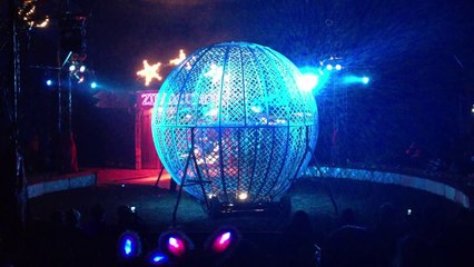 BALL OF DEATH WITH 4 RIDERS - ZIPPOS CIRCUS