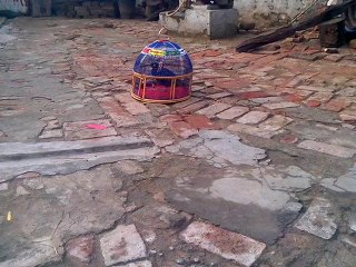 Kala Teeter(Muhammad Qasim From Gujar Khan