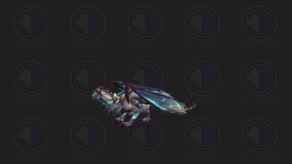 Monture - Drake du Nord