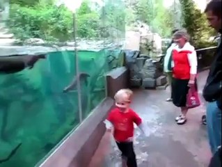 Su Samuru İle Çocuğun Eğlenceli Oyunu