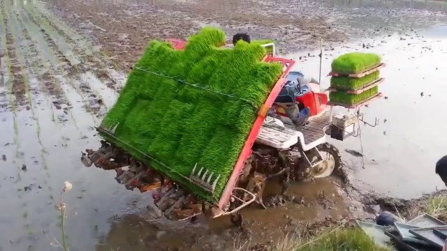 Tek Kelime İle Harika!