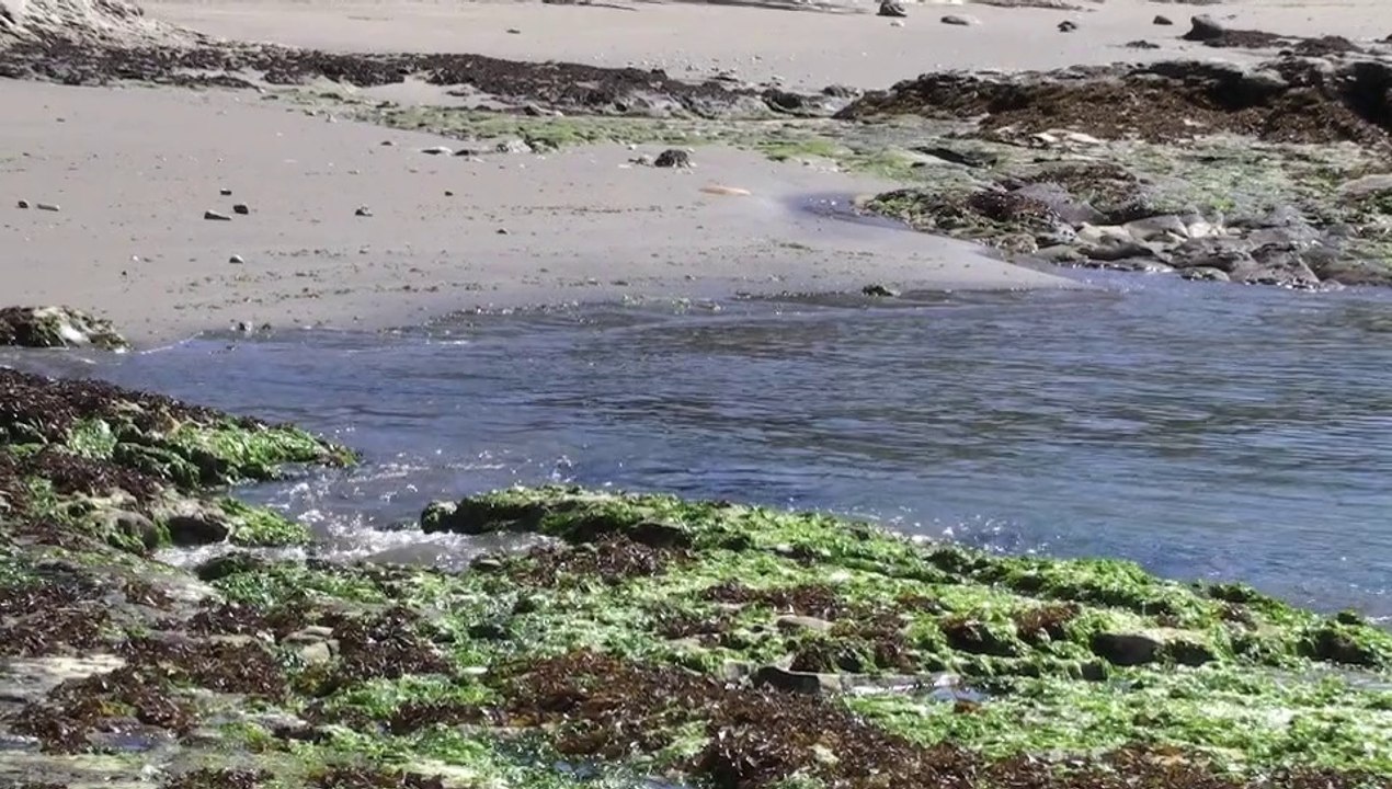 L'île de Chiloe au nord de la Patagonie chilienne