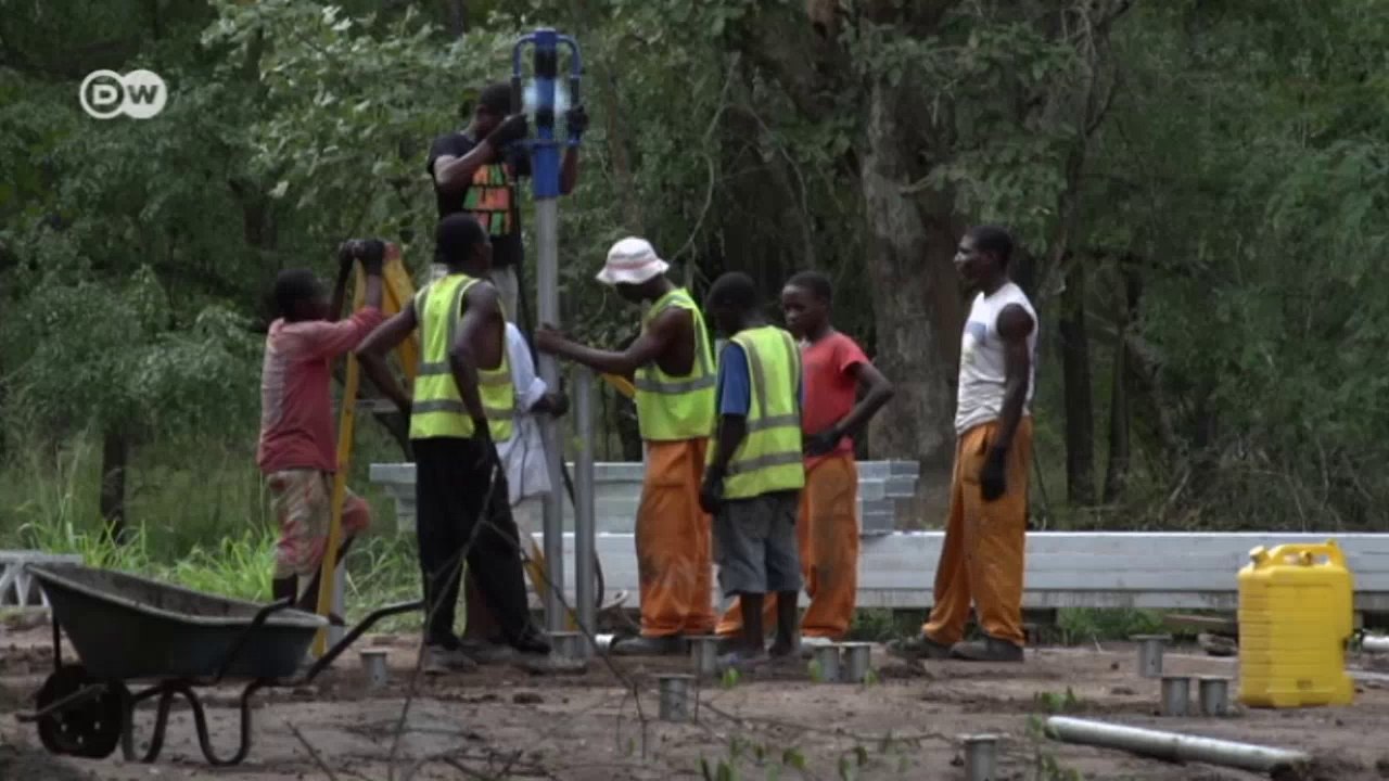 Mosambik: Ohne Mücke kein Elefant | Global 3000