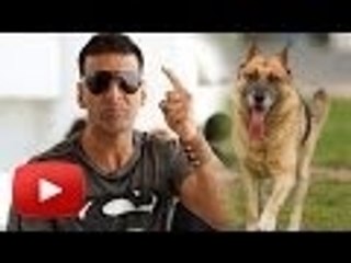 DOG Makes Akshay Kumar Wait For Hours On Set !