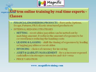 SAP TRM ONLINE TRAINING IN PUNE,CANADA ,AUSTRALIA