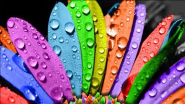 Baxi Klima Şervişi {••→ɥ71≈6ɥ≈71←••} Avcılar (Gümüşpala-Denizköşkler-Ambarlı-Cihangir Üniverşite-Tahtakale-Firuzköy-Yeşilkent) Boşch Klima Şervişi {••→ɥ71≈6ɥ≈71←••} Avcılar (Gümüşpala-Denizköşkler-Ambarlı-Cihangir Üniverşite-Tahtakale-Firuzköy-Yeşilkent