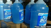 Windshield Washer Fluid Linked To Legionnaires' Disease