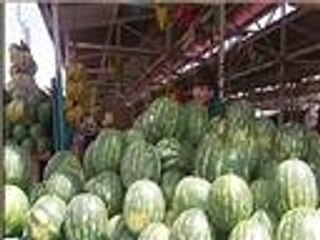 تشجيع زراعة البطيخ بالضفة الغربية