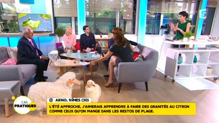 [RECETTE] Comment réaliser un granité de citron ?