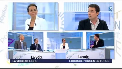 20140517-F3Pic-La Voix est libre-E2014-Loïc Pen