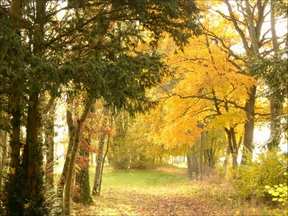 Chateau nature 70 Haute-Saone pusy epenoux franche comté