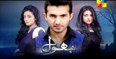 Bhool Episode 14 Full on Hum Tv in High Quality