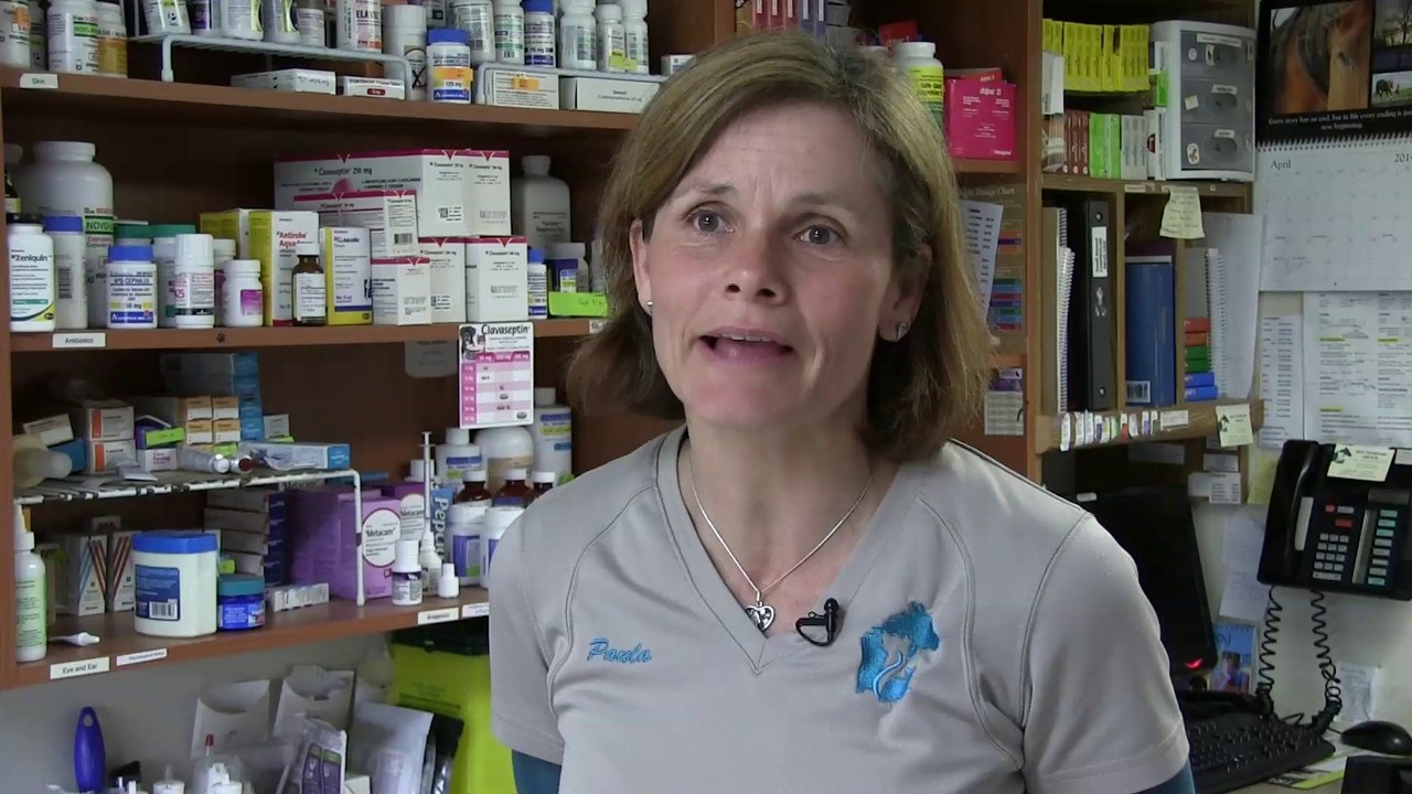 Welcome to Troy Veterinary Services