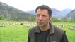 D!CI TV : Le ras le bol d'un éleveur de Châteauroux-Les-Alpes excédé par le loup