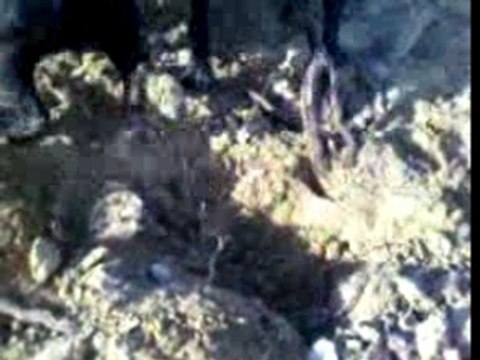 faites bien attention ya une surprise ??