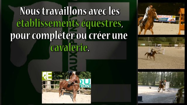 Poney C.S.O Saut d'Obstacle en location