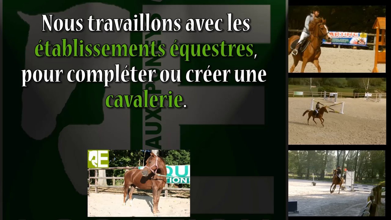 Poney C.S.O Saut d'Obstacle en location