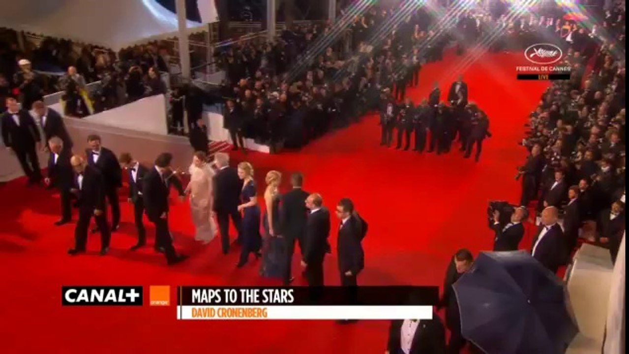 Maps to the Stars Premiere at Cannes 2014