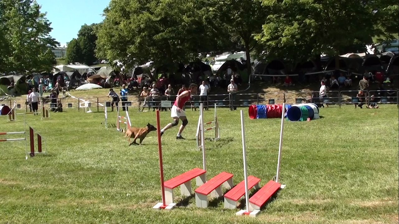 STGR CIBEINS LES RED DINGUES M2 JUMP
