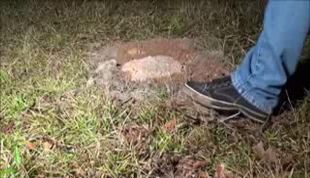 Casting a Fire Ant Colony with Molten Aluminum (Cast #043)