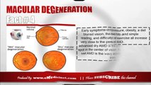 Macular Degeneration