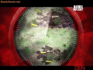 Natural Born Hunters 20th May 2014 Video Watch Online Pt3