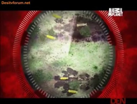 Natural Born Hunters 20th May 2014 Video Watch Online Pt3