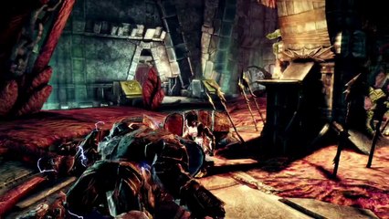 Dragon Age Origins - Awakening Sigrun Trailer