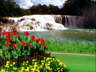 İlkay Akkaya - Dost Cemalin Benzer