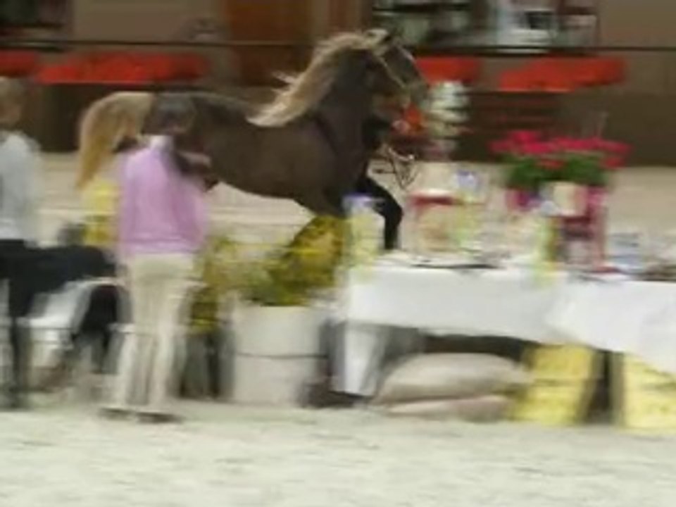 AMEERAH en Show