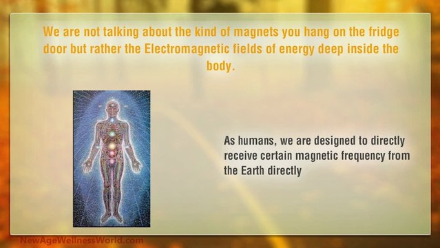 Corporate Wellness Lounge From NewAge Wellness World