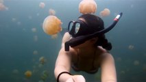 GoPro - Lost in Jellyfish Lake - Snorkeling
