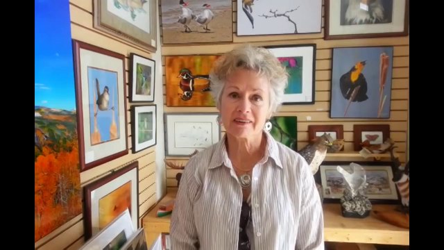 Spotting scopes reviews & Binocular reviews Denver Colorado