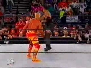 hulk hogan vs  the undertaker
