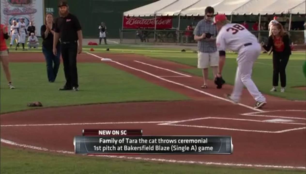 Hero Cat Throws Out First Pitch