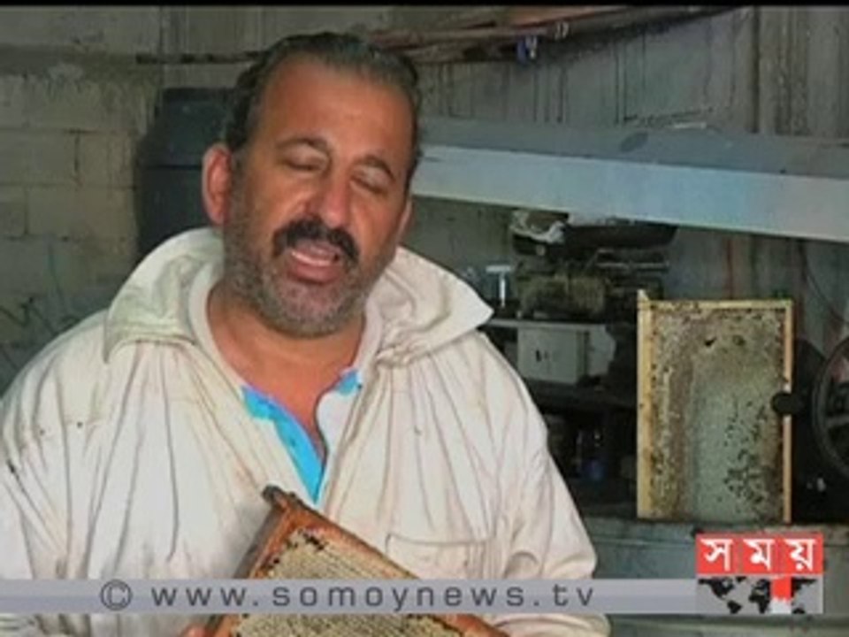 মধুতে মধুময় গাজার মৌমাছি চাষীরা