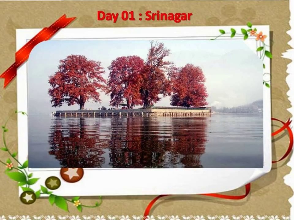 Kashmir Honeymoon Package from Delhi