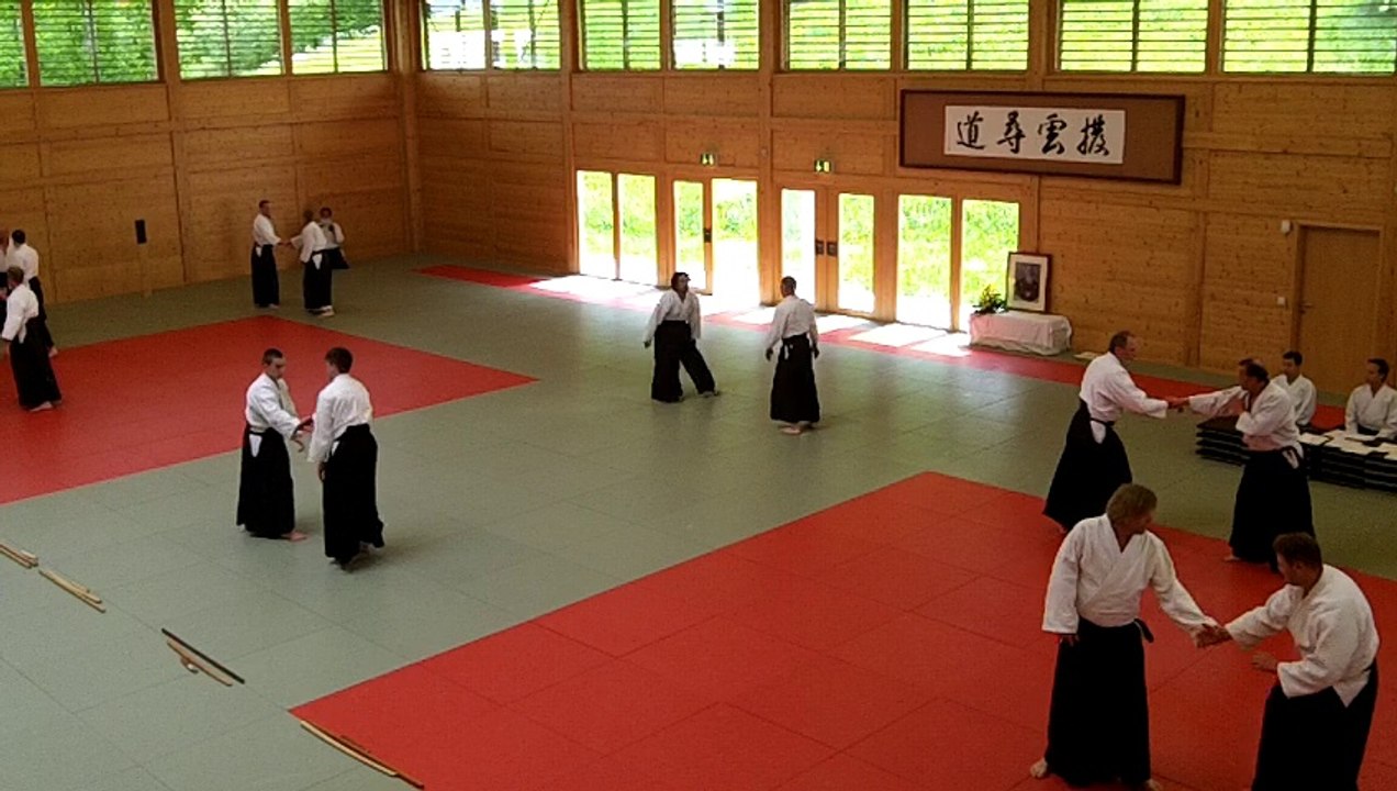 Aikido Danprüfung Budokan Wels 2014 1./2. Dan