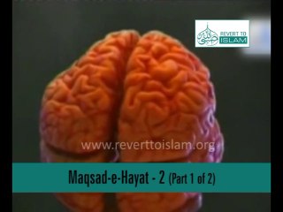 The Puprose Of Life 2 (Part 1of2)