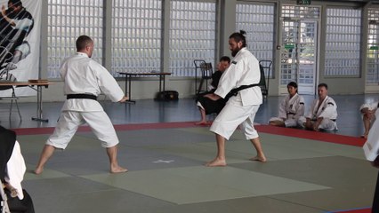 Coupe de France de Shorinji Kempo 2014