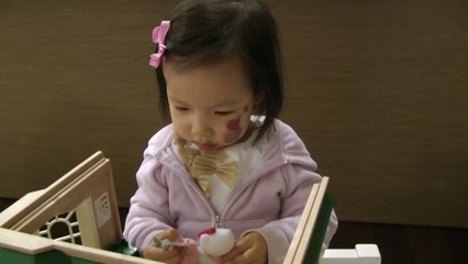 Sylvanian Families And Hello Kitty