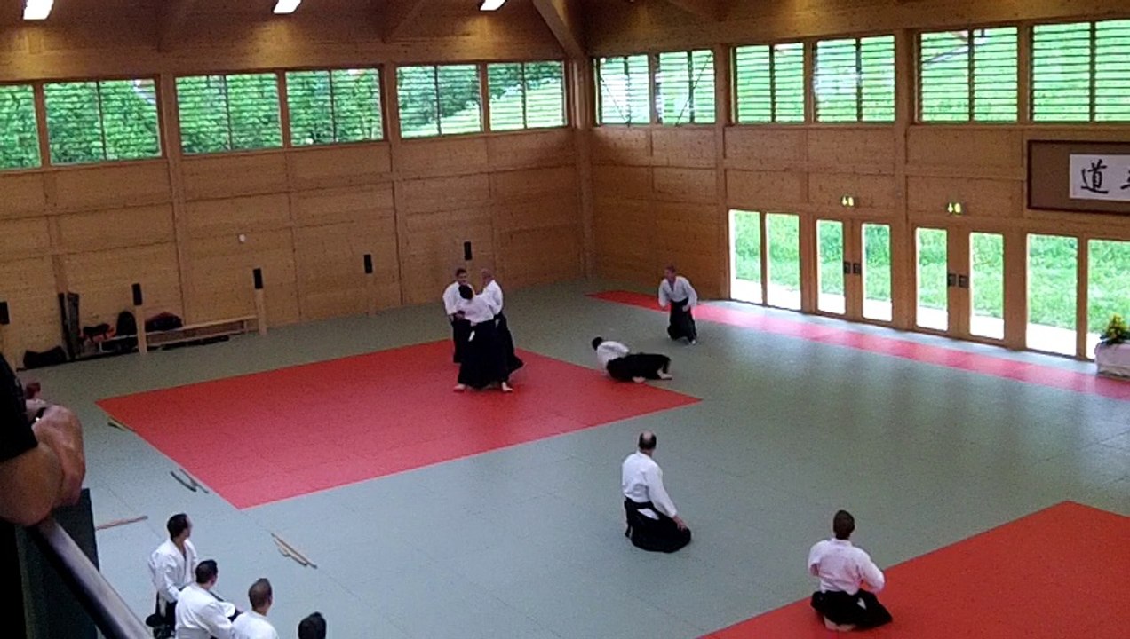 Aikido Danprüfung Budokan Wels 2014 3./4. Dan