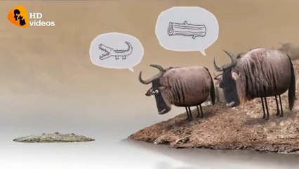 Engaging Insights for Entertainment Lovers