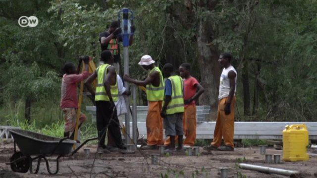 Bringing back species after a war | Global Ideas