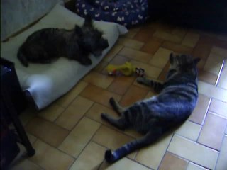 Babylone,accueilli par Jaudy