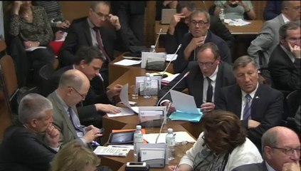 Audition de Ségolène Royal commission du 20 mai 2014
