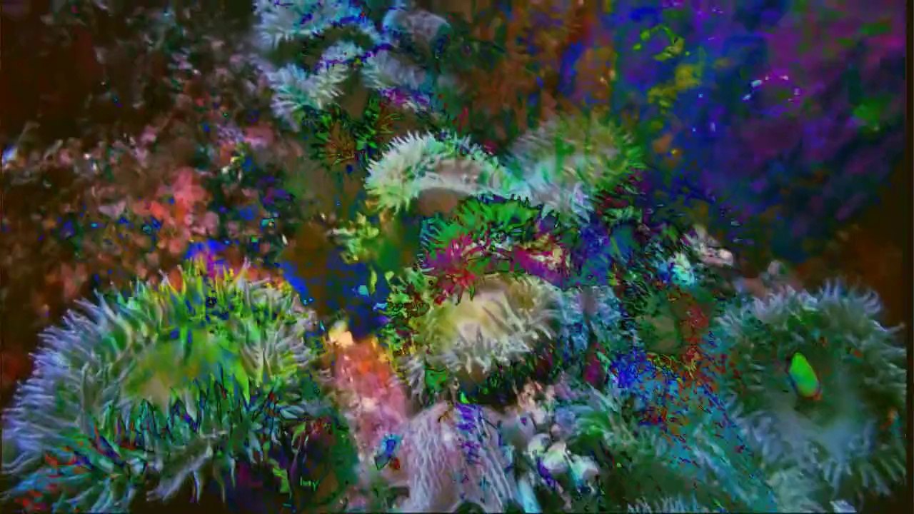 Rapid Douglas : She's Gone [Satellite Jockey Remix]