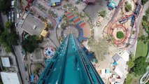 Amazing Roller Coaster POV : Falcon's Fury at Busch Gardens Tampa