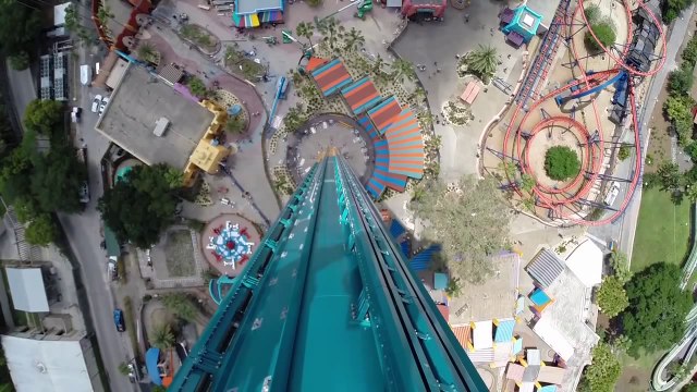 Manège de dingue comme si vous y étiez : Falcon's Fury POV au Busch Gardens Tampa